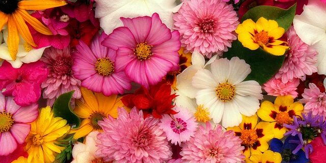 Flowers