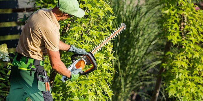 AdobeStock_528804011