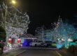Winning Christmas Lights