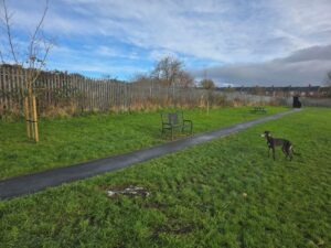Dog Walking Area