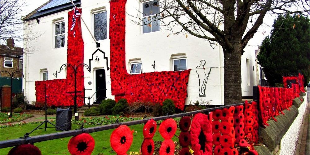 Poppy Net