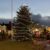 Large Christmas tree with colourful lights stands in a town square at dusk.